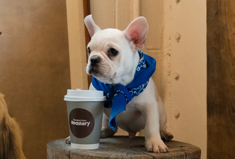 コーヒーとリタロ