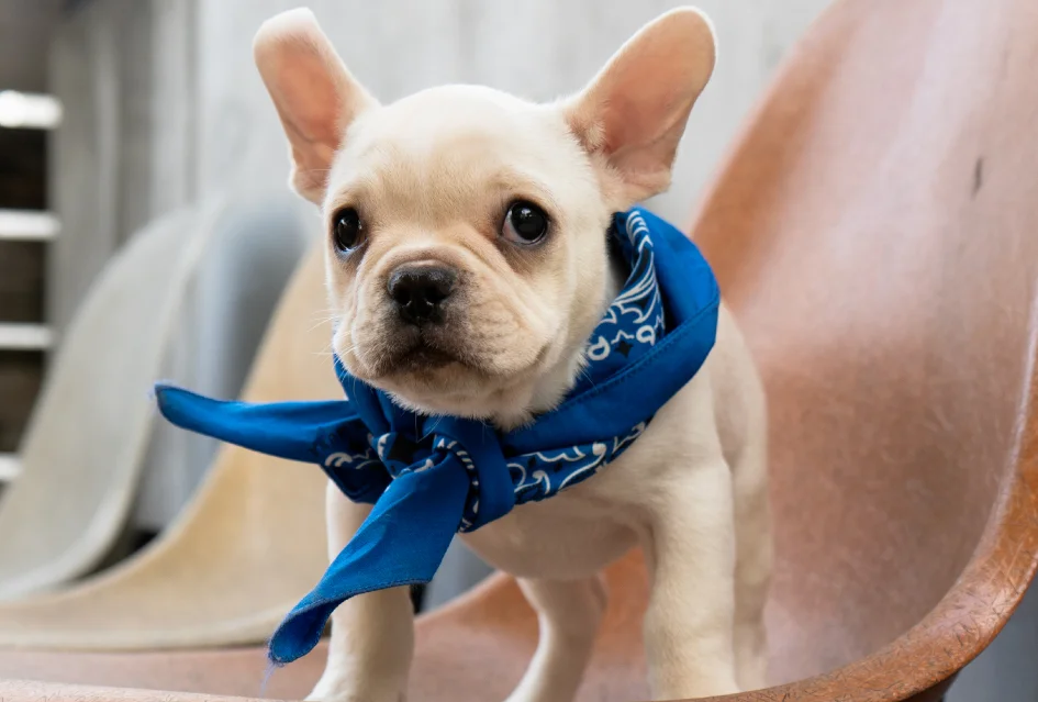 コーヒーとリタロ