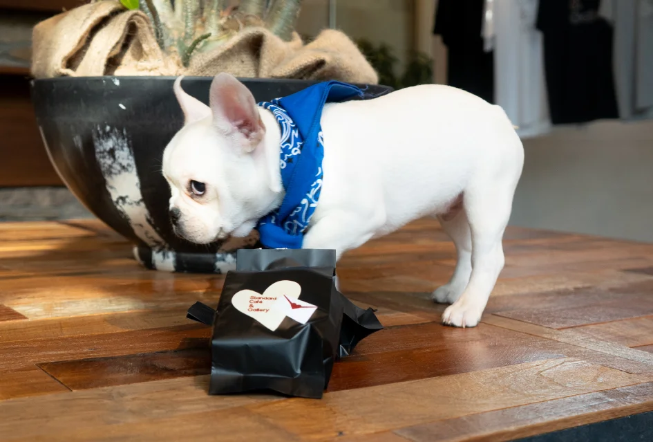 コーヒーとリタロ