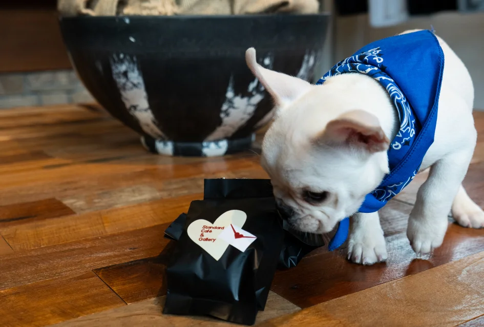 コーヒーとリタロ