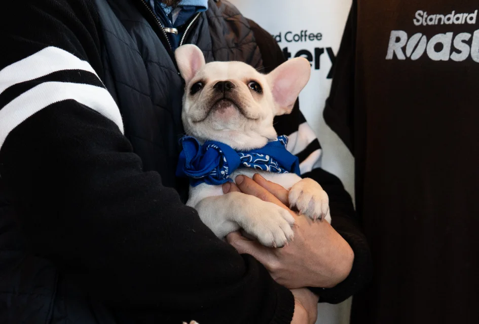 コーヒーとリタロ