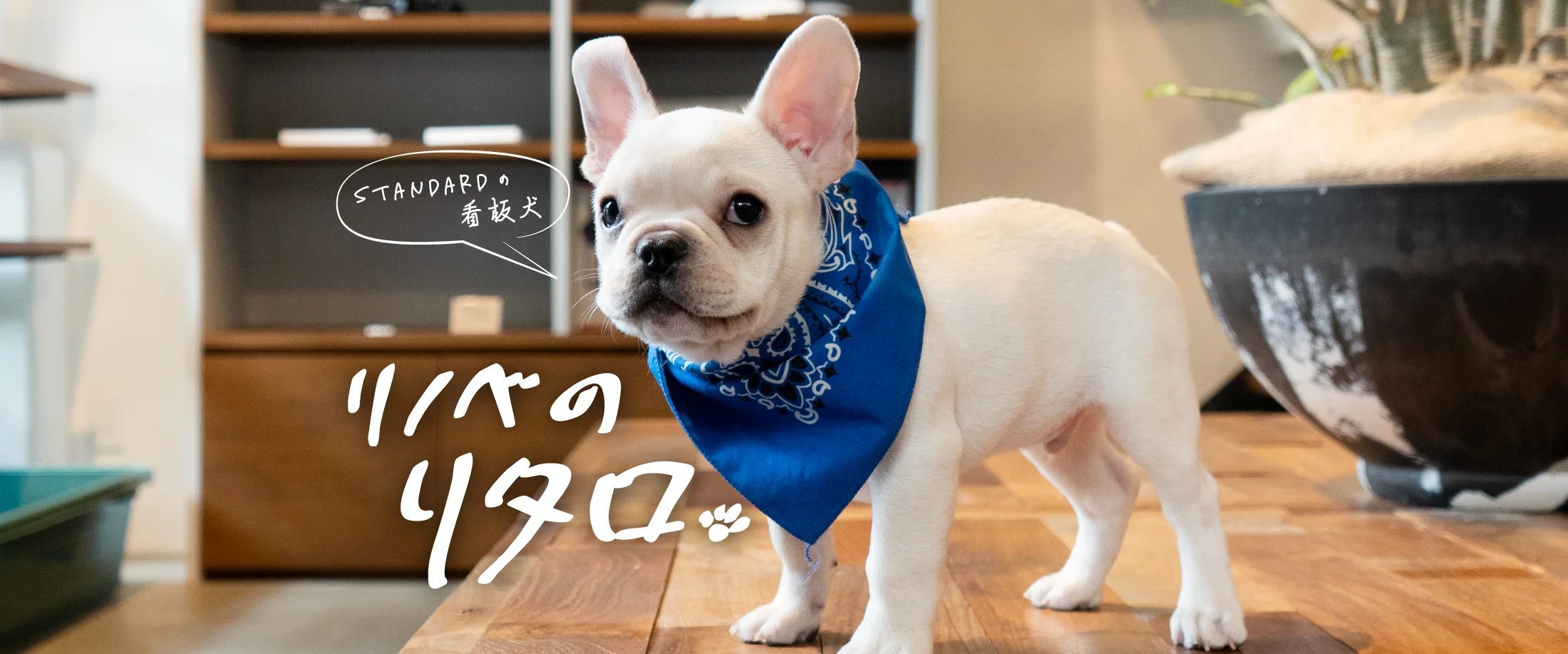 リノベのリタロ