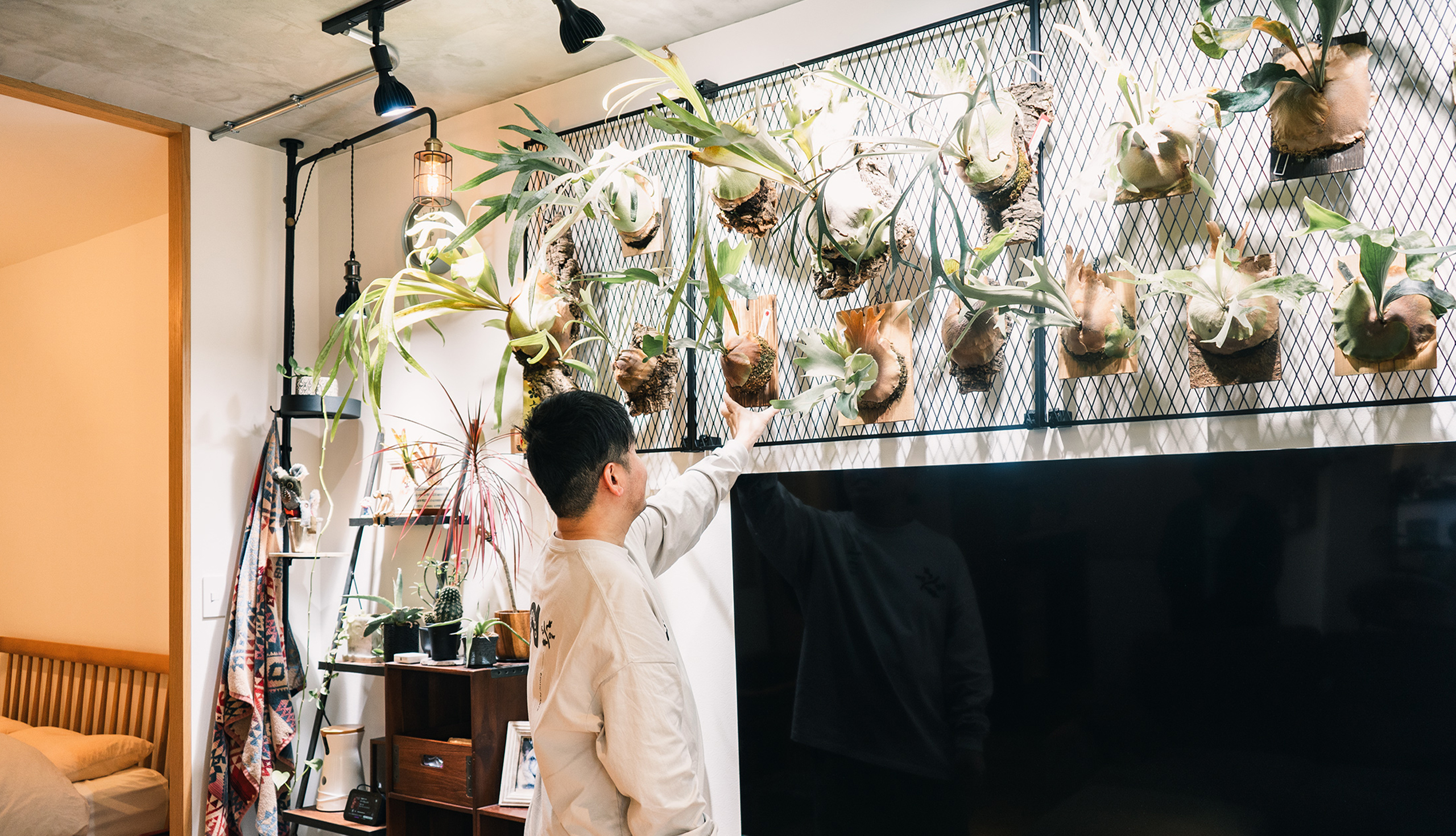 家族と育てる、グリーンの住まい