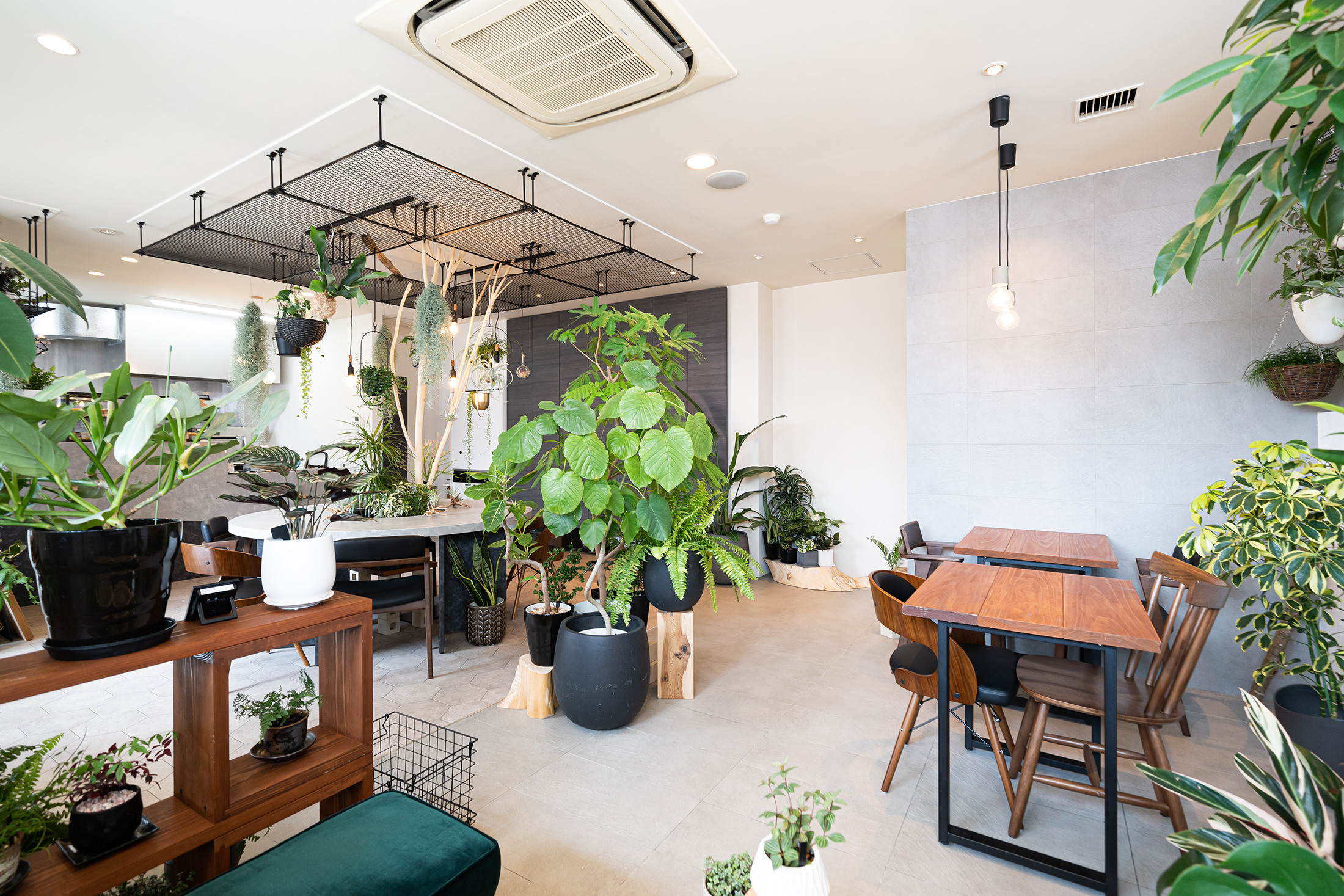 店舗デザイン・リノベーション「カフェ　いずも」店内