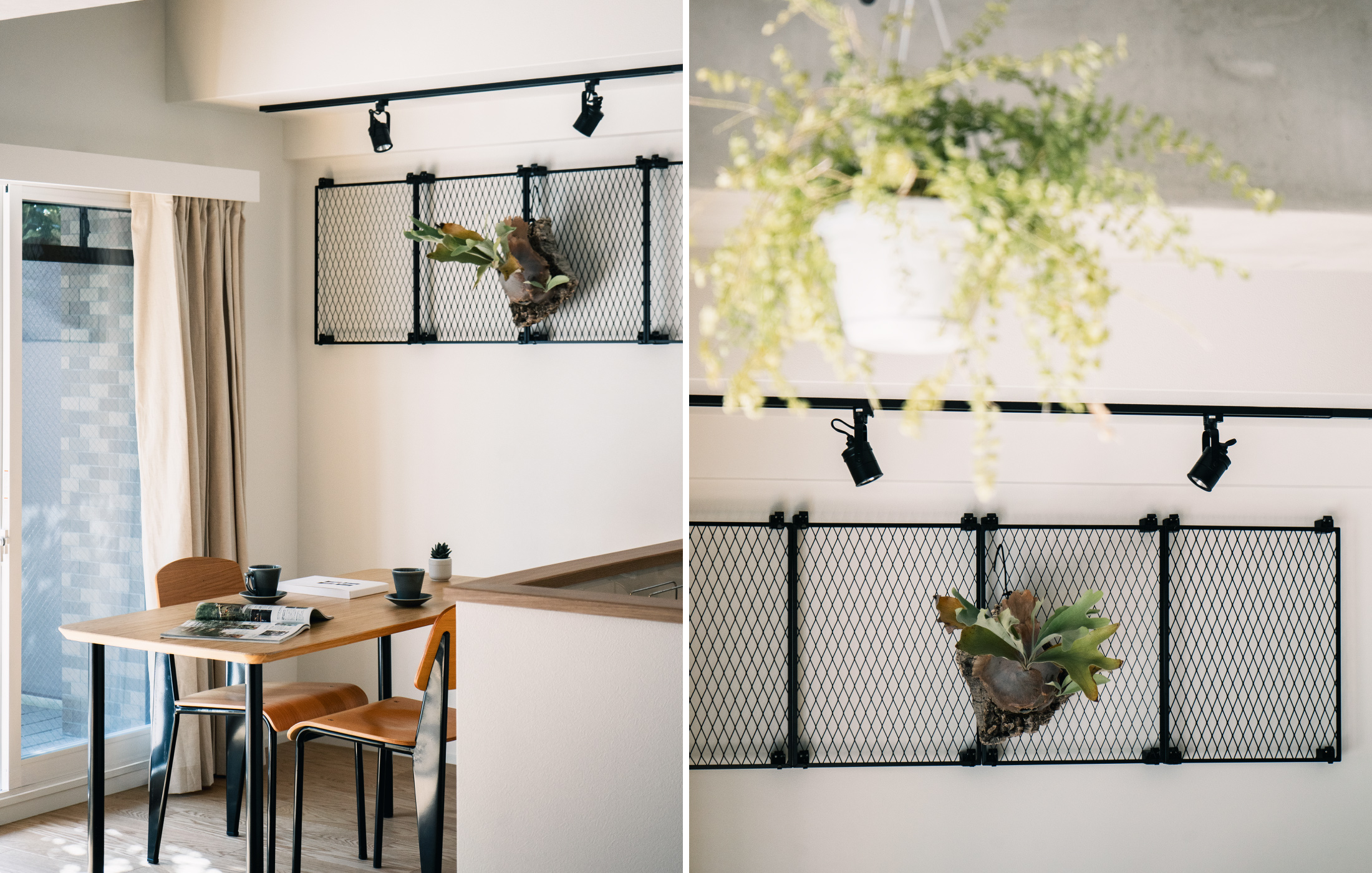 ダイニング　植物